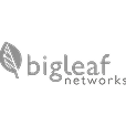 Big leaf networks